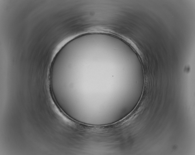 X0000091571387200708200941