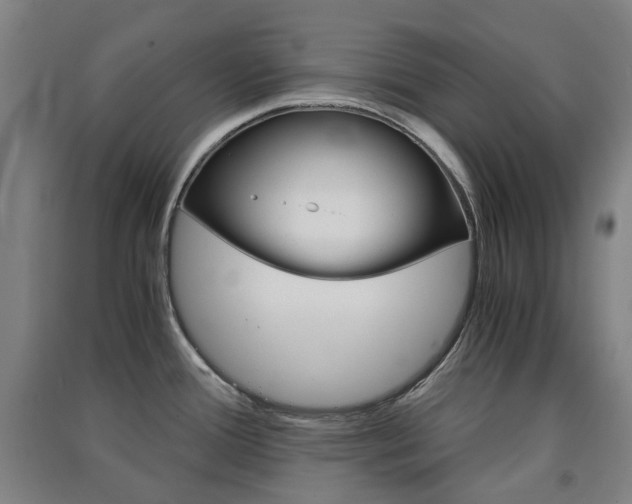 X0000091571388200708200941