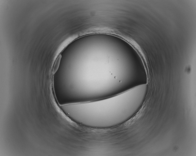 X0000091571389200708200941