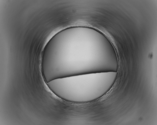 X0000091571390200708200941