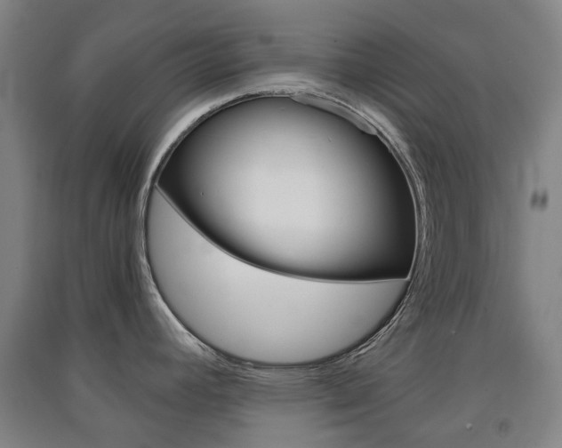 X0000091571392200708200941