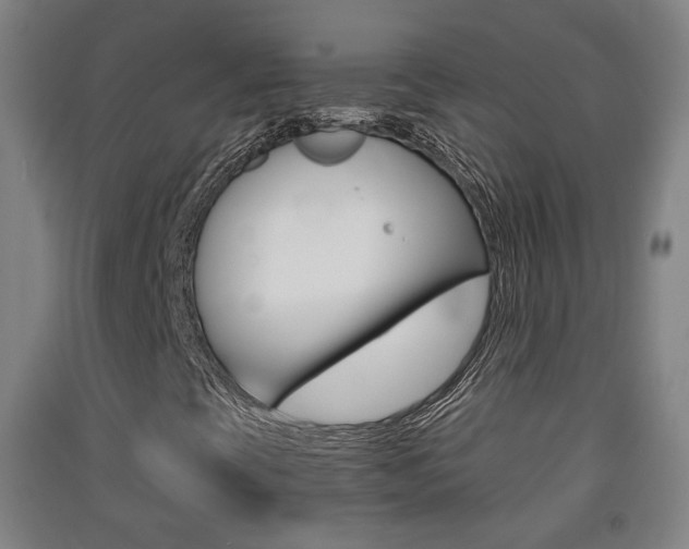 X0000091571393200708200940