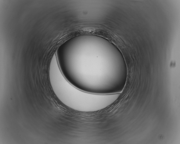 X0000091571394200708200940