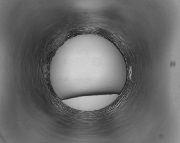 X0000091571395200708200940