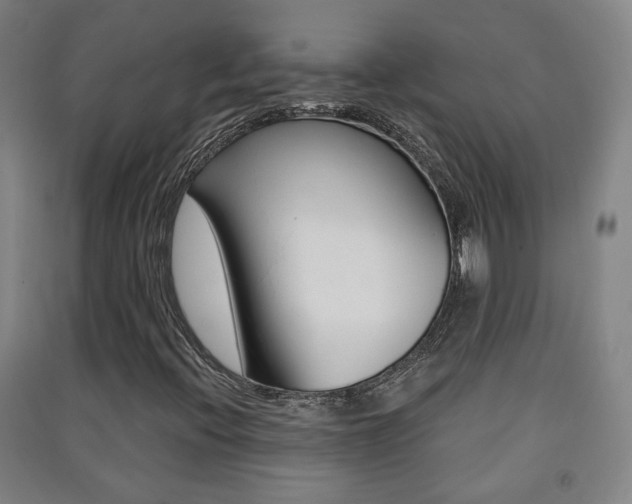 X0000091571396200708200940