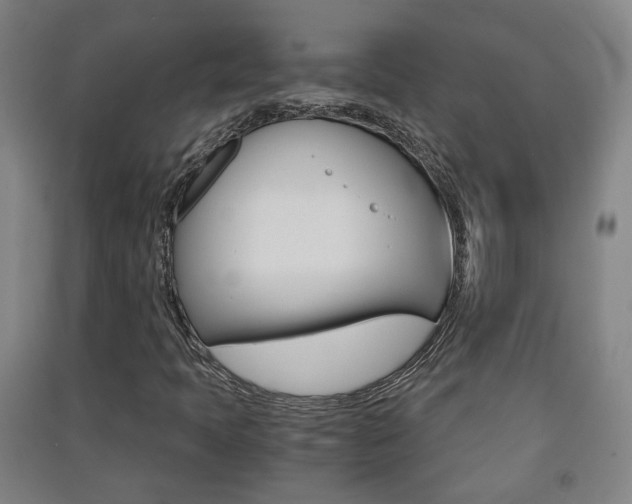 X0000091571397200708200940