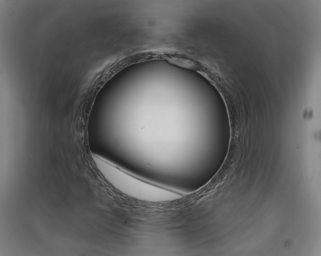 X0000091571398200708200940