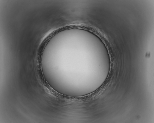 X0000091571400200708200940