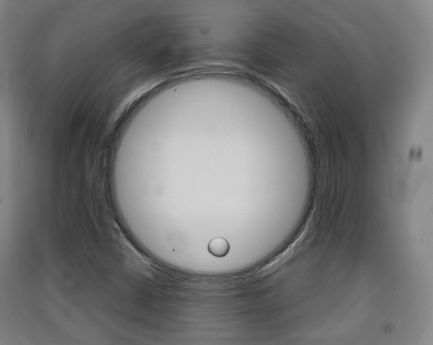 X0000091571402200708200940