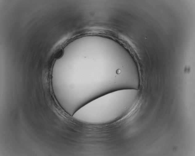 X0000091571403200708200940