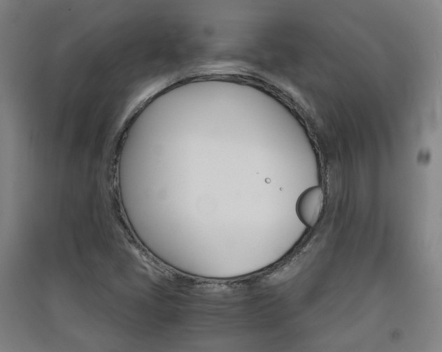 X0000091571405200708200941