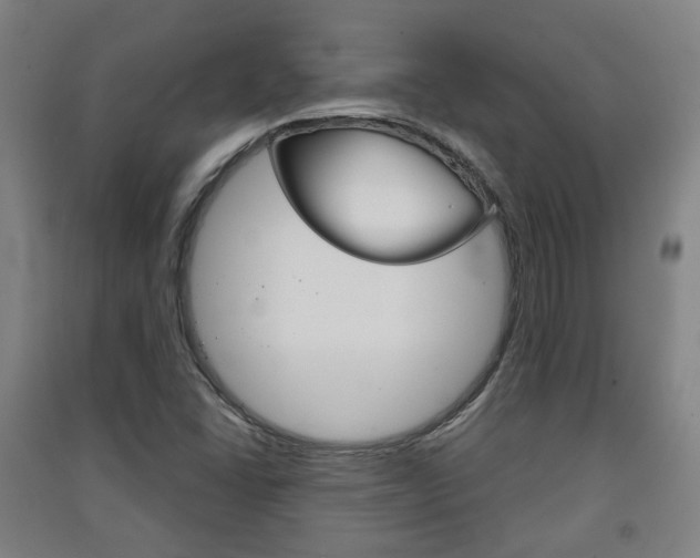 X0000091571406200708200941