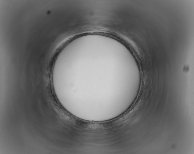 X0000091571407200708200941