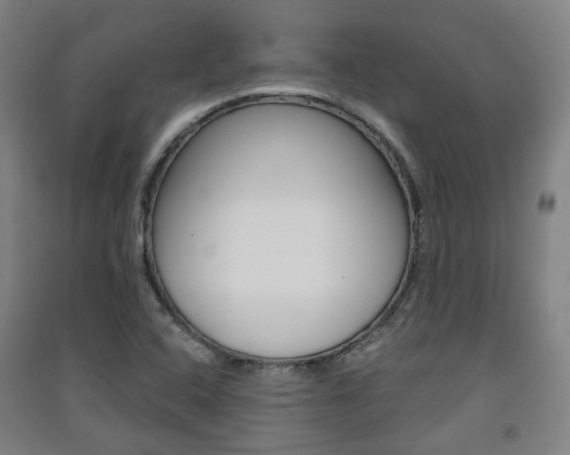 X0000091571408200708200941