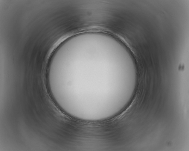 X0000091571410200708200941