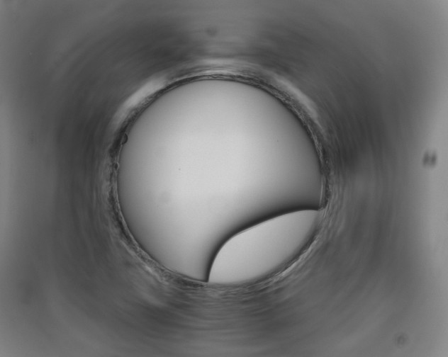 X0000091571411200708200941