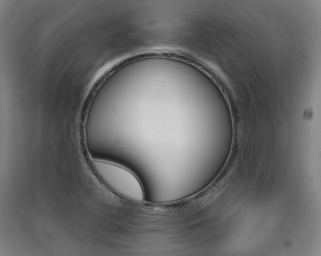 X0000091571412200708200941