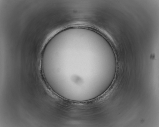 X0000091571413200708200941