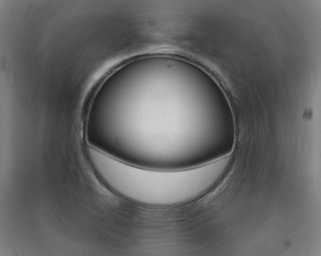 X0000091571414200708200941
