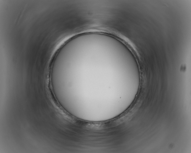 X0000091571415200708200941