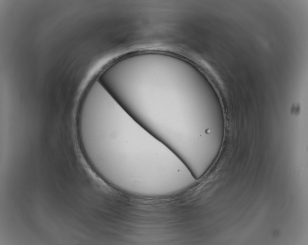X0000091571416200708200941