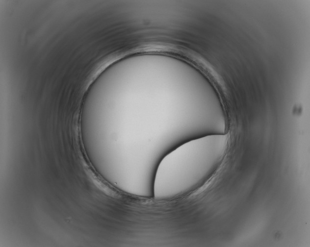 X0000091571417200708200941
