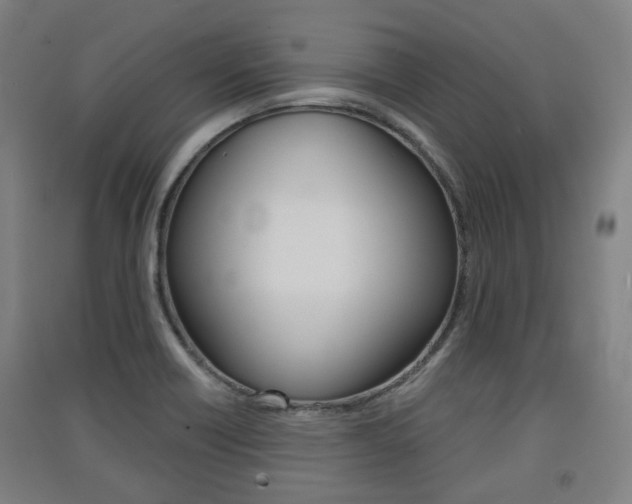 X0000091571418200708200941