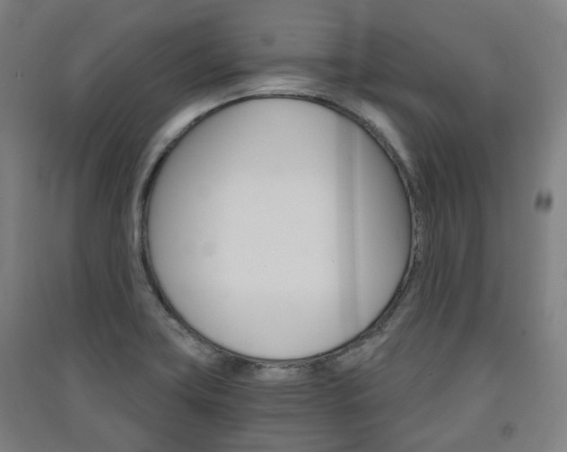 X0000091571419200708200941