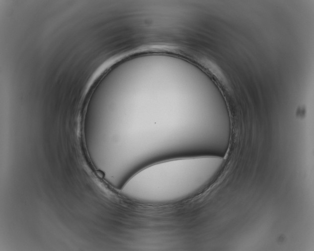 X0000091571420200708200941