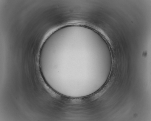 X0000091571421200708200941