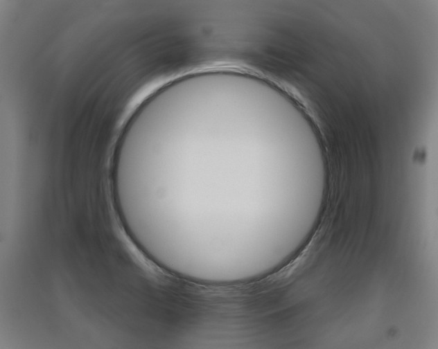 X0000091571422200708200941