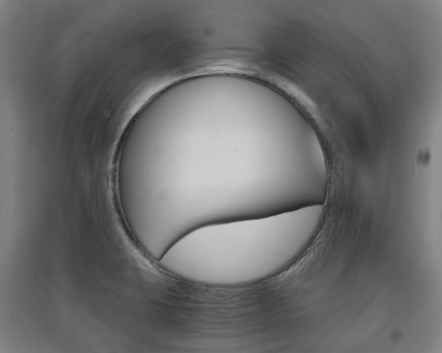 X0000091571423200708200941