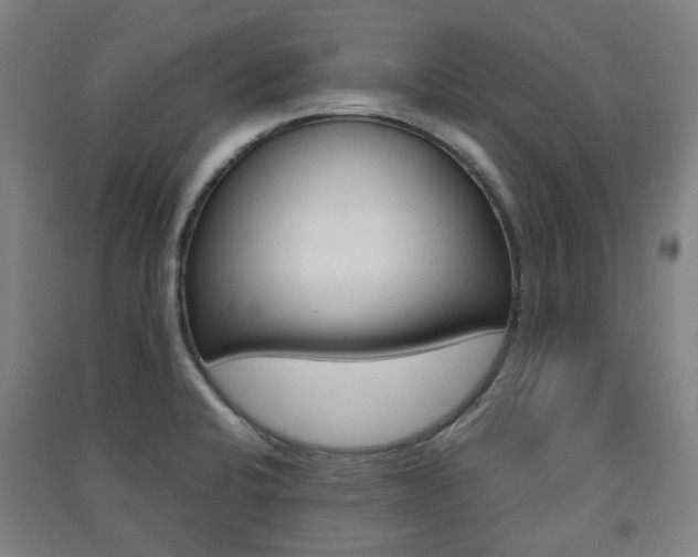 X0000091571424200708200941