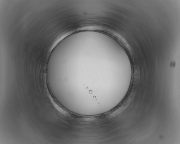 X0000091571425200708200941