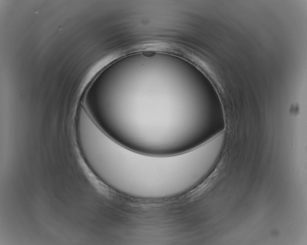 X0000091571426200708200941