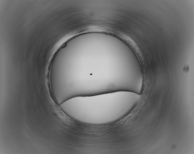 X0000091571427200708200941