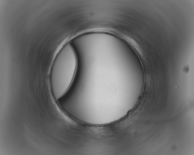 X0000091571428200708200941