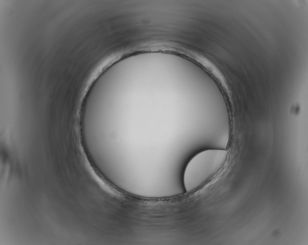 X0000091571429200708200941