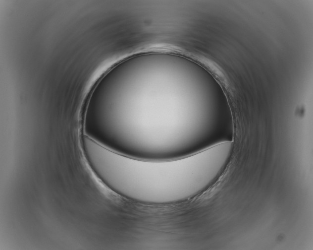 X0000091571430200708200941