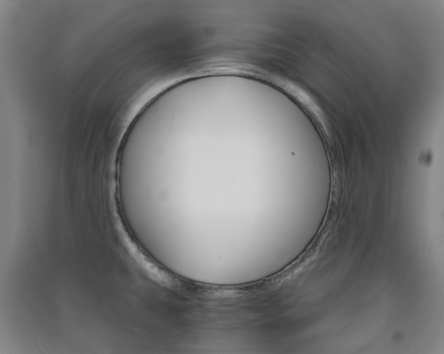 X0000091571431200708200941