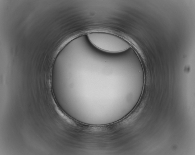 X0000091571433200708200941