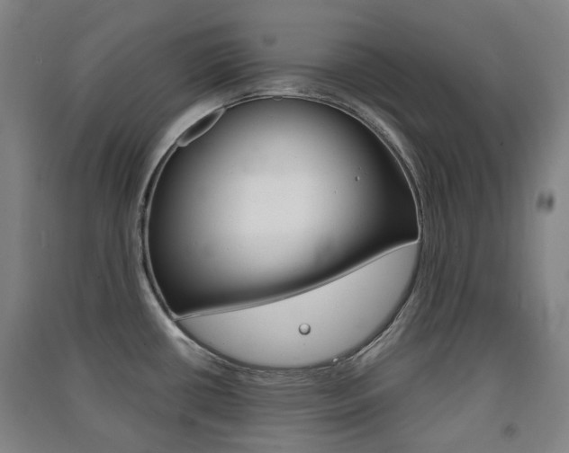 X0000091571434200708200941