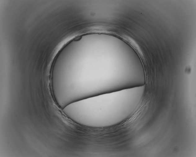 X0000091571435200708200941