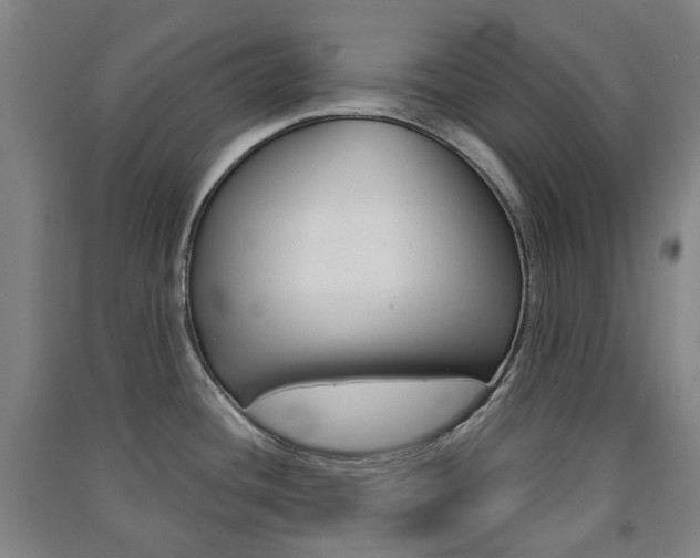 X0000091571436200708200941