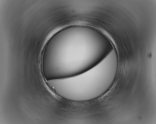X0000091571437200708200941