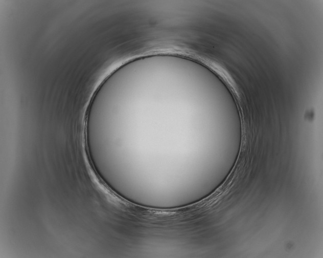 X0000091571439200708200941