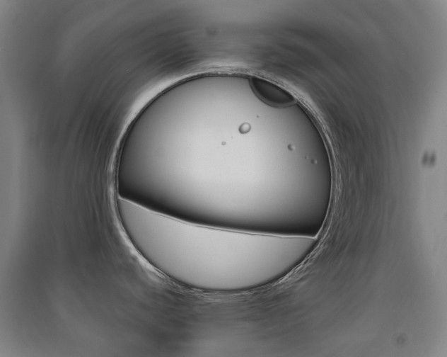 X0000091571440200708200941
