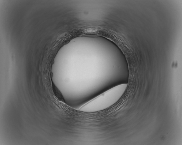 X0000091571441200708200940