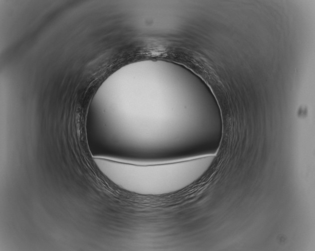 X0000091571442200708200940