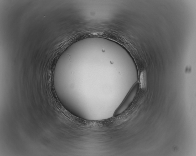 X0000091571443200708200940